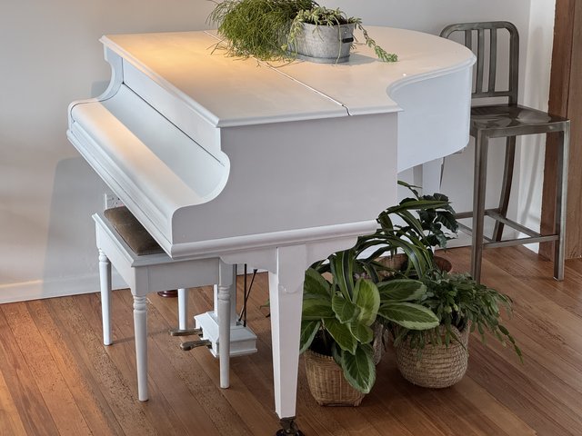 White Oasis