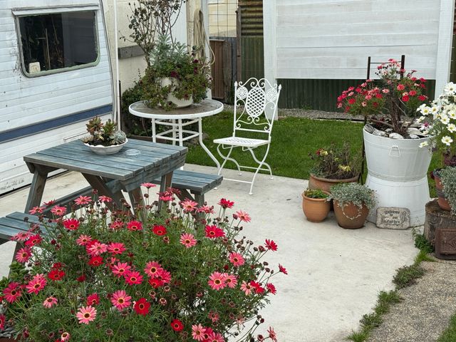 Image 20250514153508