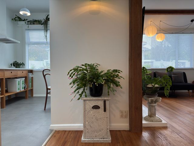 Image 20250514153536